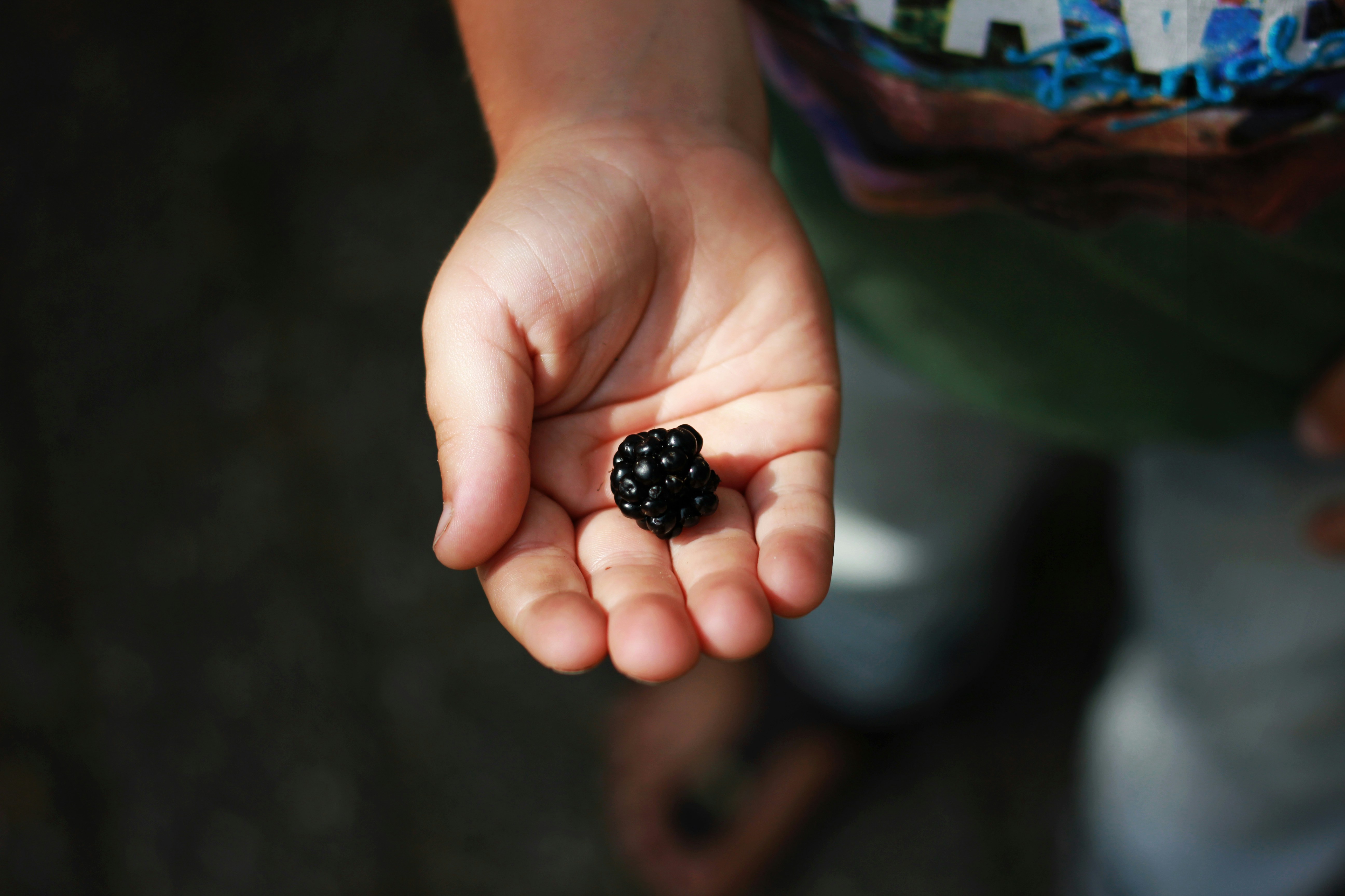 Authority Hub Series Part 2: Small Nonprofit Implementation